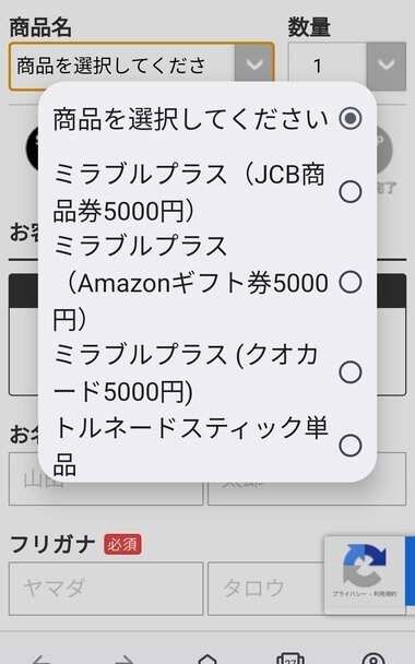 ビープラス購入手順４